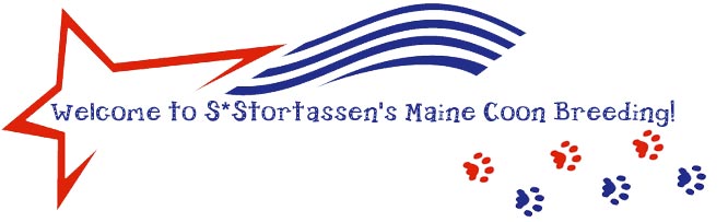 S*Stortassens Mainecoon Maine coon